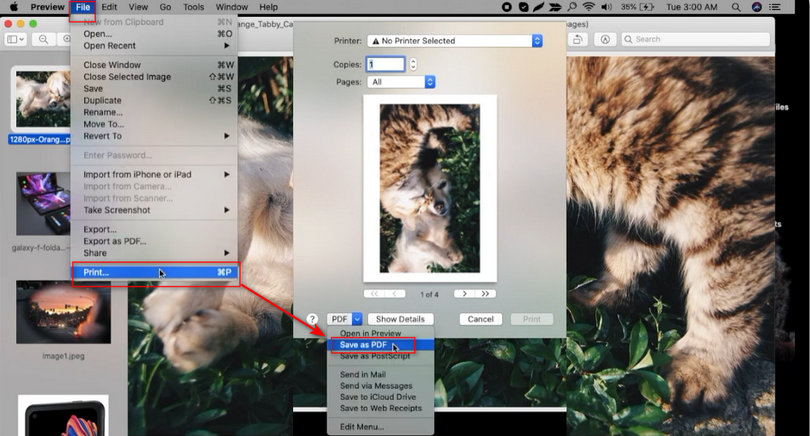 Salva Tutti i JPEG in un Unico PDF