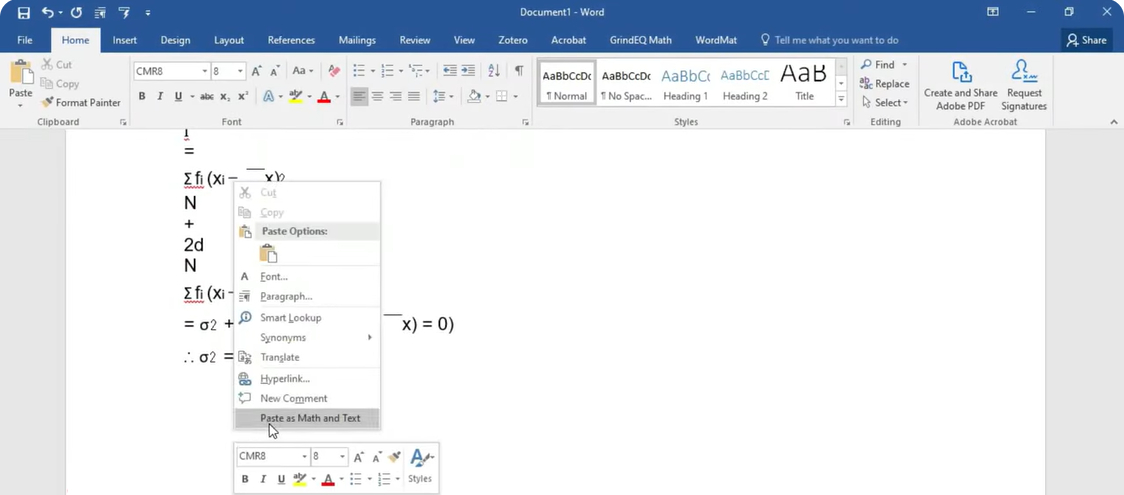 Paste Equation as Math and Text