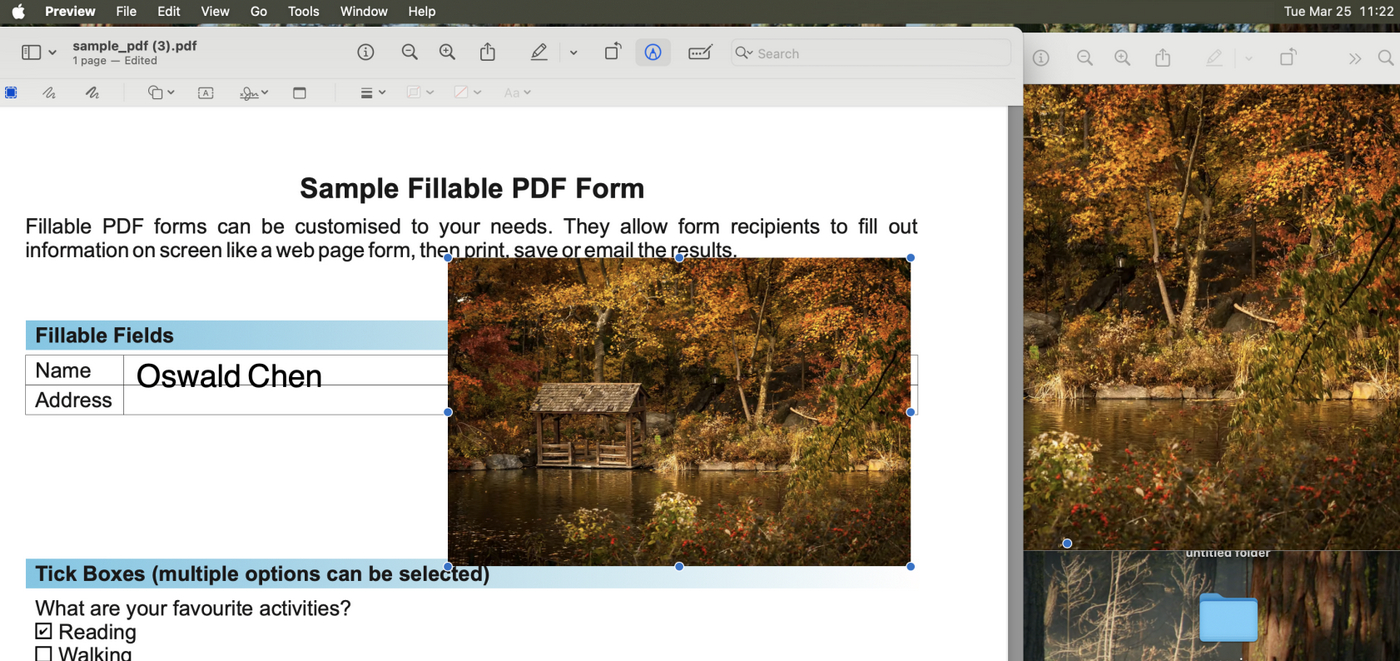 Paste Image in PDF