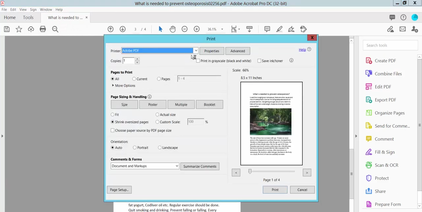 Print PDF to White Background