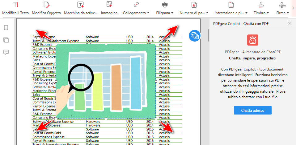 Regola l'Immagine Inserita