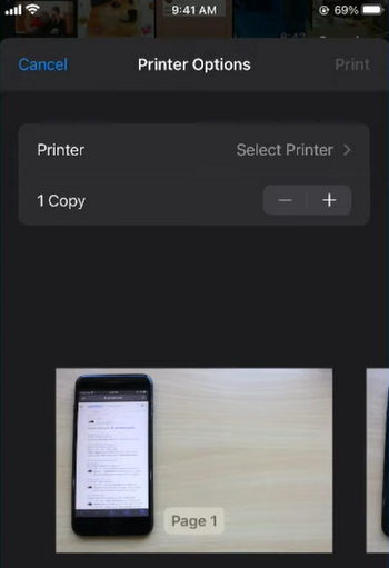 Preview Photos from Printer Options